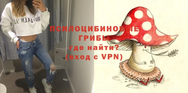 стаф Беломорск