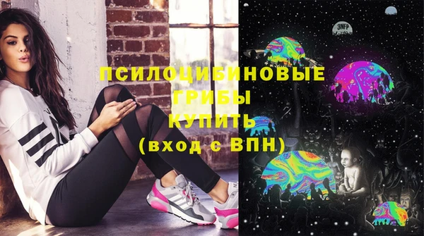 гашик Белокуриха