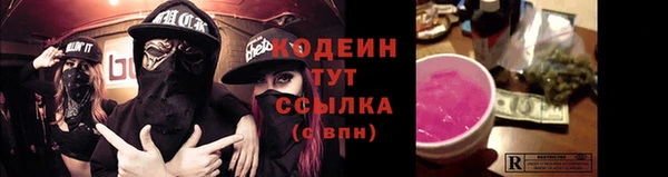 гашик Белокуриха