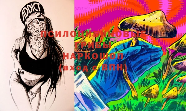 гашик Белокуриха