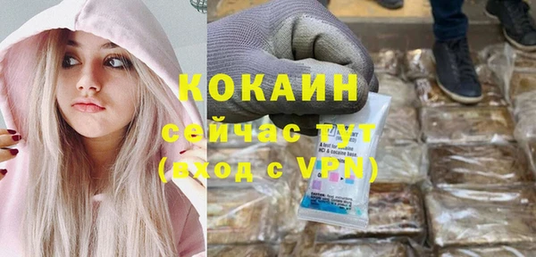 гашик Белокуриха