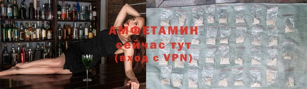 стаф Беломорск